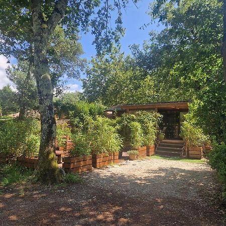 Chalet 2020 Camping 4 Etoiles Bassin D'Arcachon La Teste 외부 사진